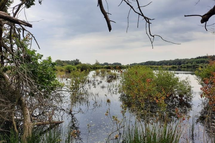 Bekijk foto 61 van Verl Hoogeveense Vaart 142