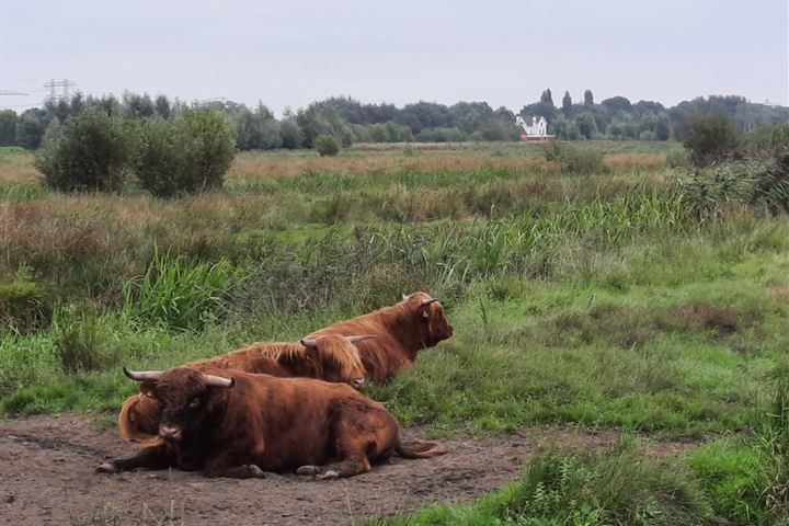 Bekijk foto 62 van Verl Hoogeveense Vaart 142