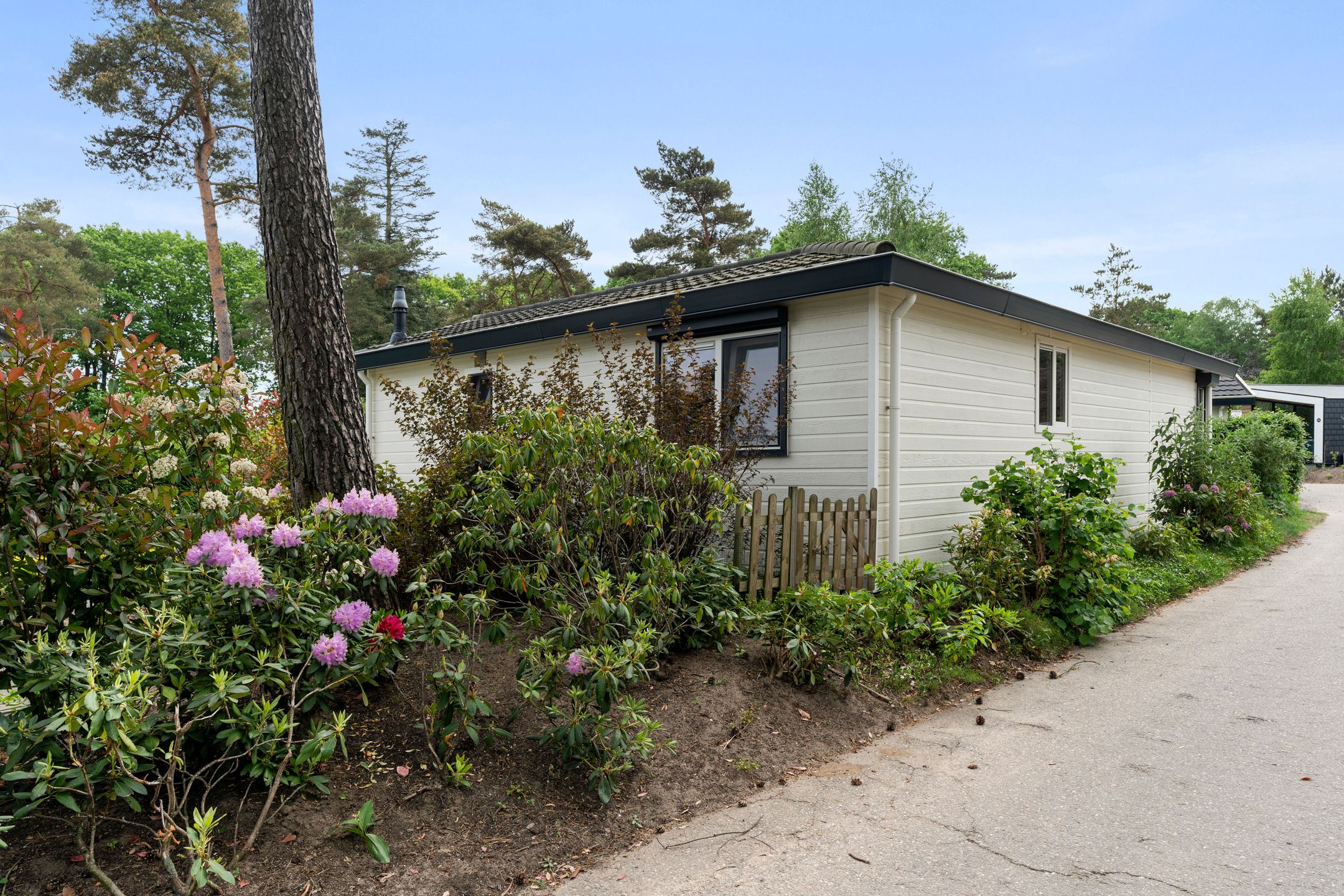 Foto 6 van Immenweg 15-360