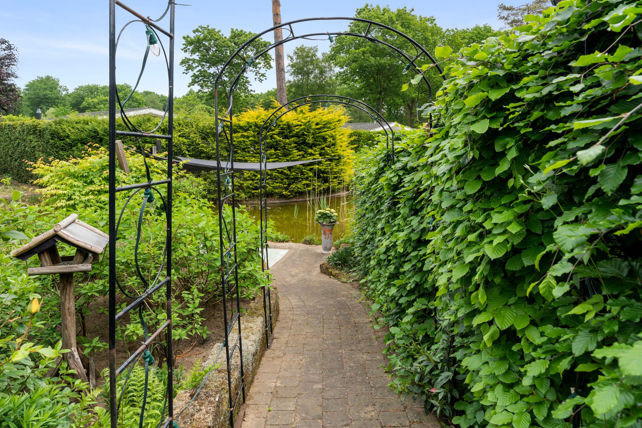 Foto 24 van Immenweg 15-360