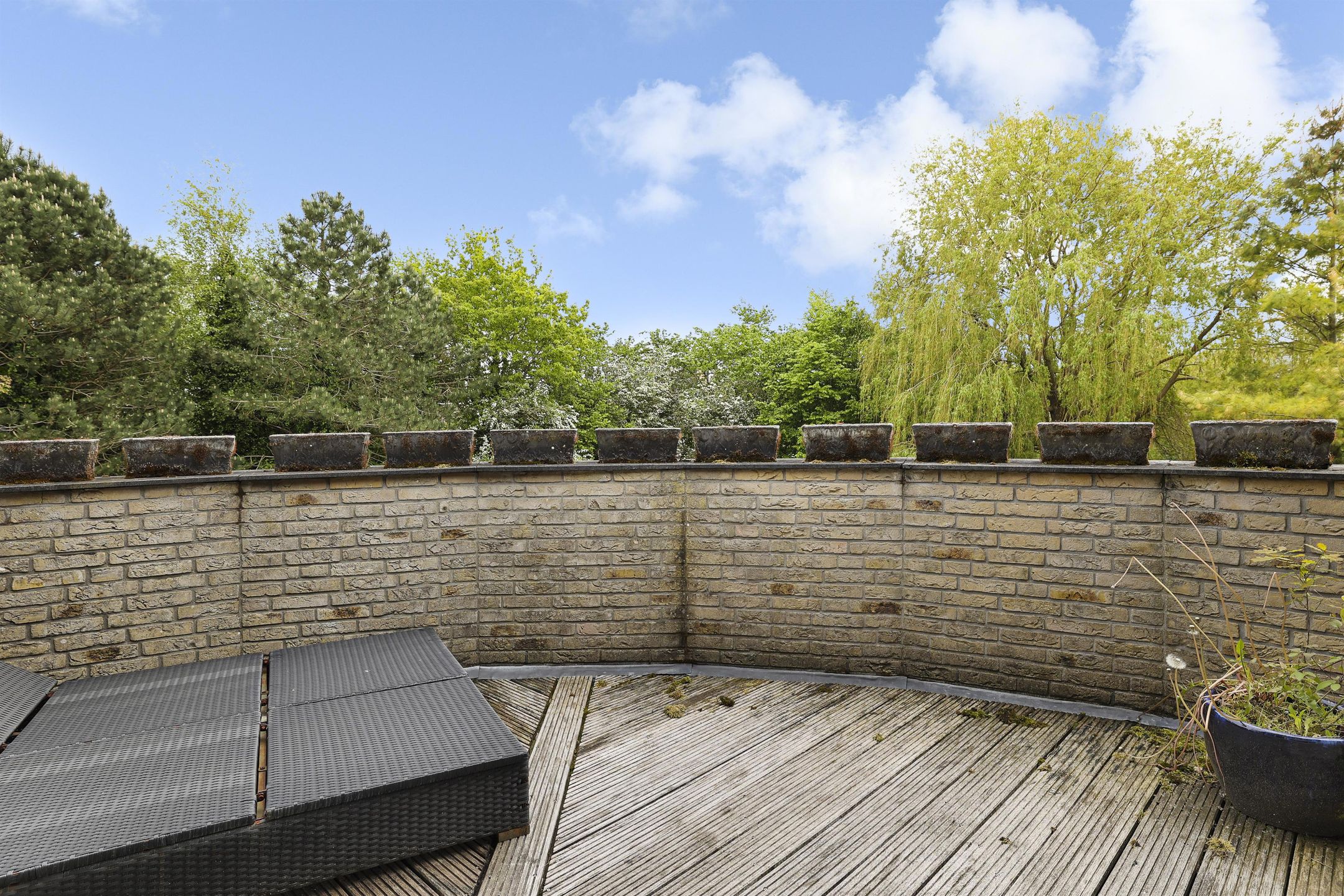 Photo 24 of Hollandse Hout 52