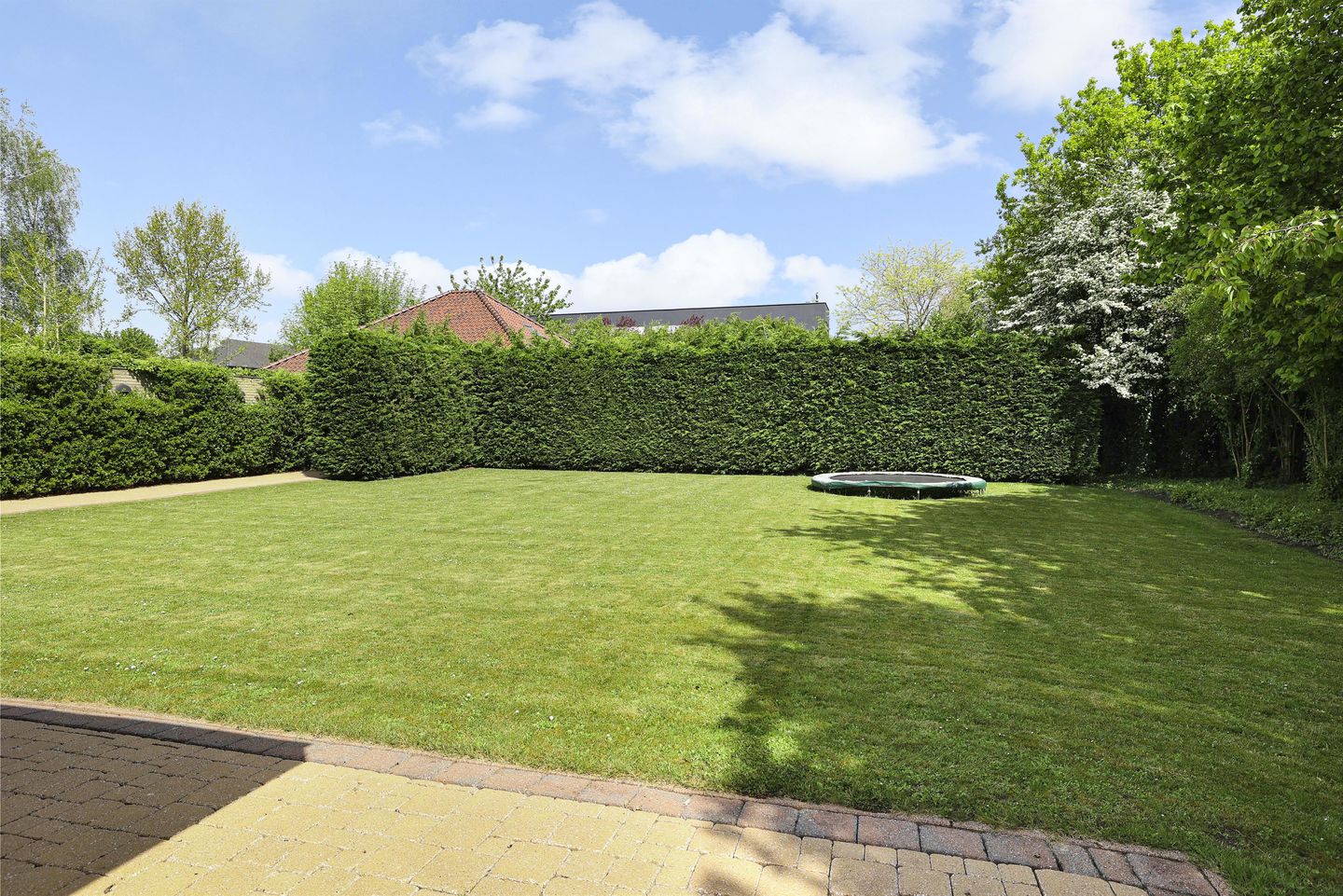 Photo 34 of Hollandse Hout 52