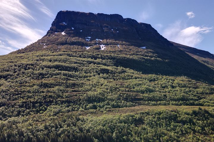 Bekijk foto 42 van Rekdalsvegen 372