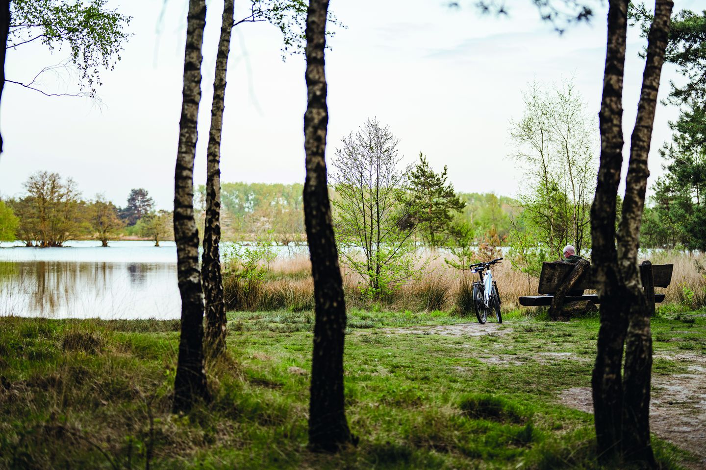 Photo 4 of Parc de Utrecht heidekavel 4