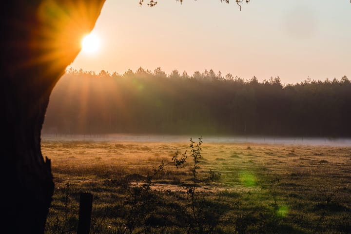 Foto 8 van Parc de Utrecht heidekavel 4