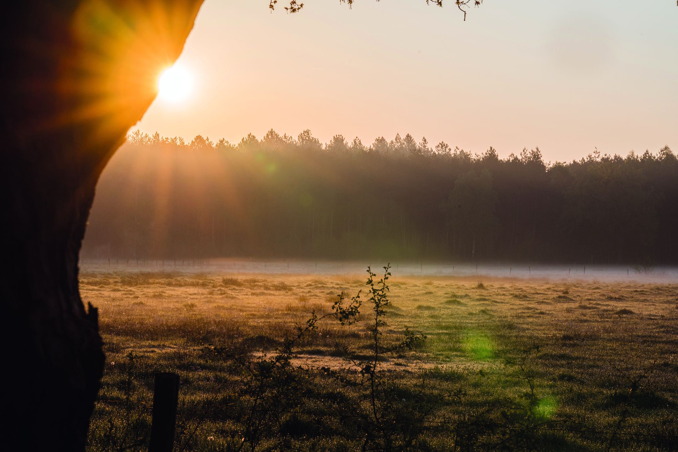 Foto 9 van Parc de Utrecht boskavel 5