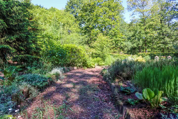 Foto 2 van Horalaan 70