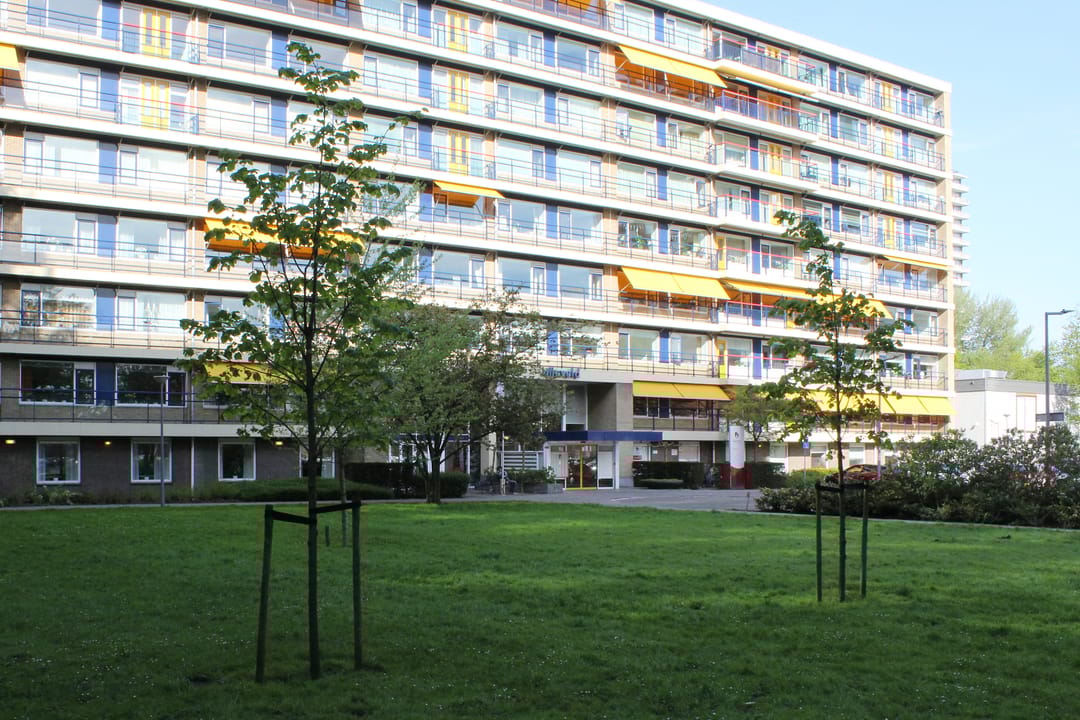 Foto 2 van G.B. Shawplaats