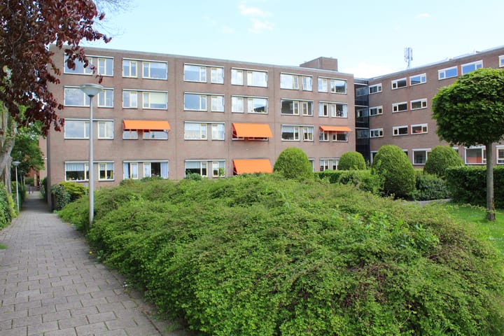 Foto 6 van Noordeindseweg