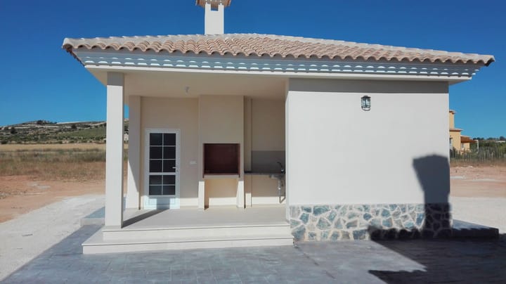 Foto 27 van Pinoso 702