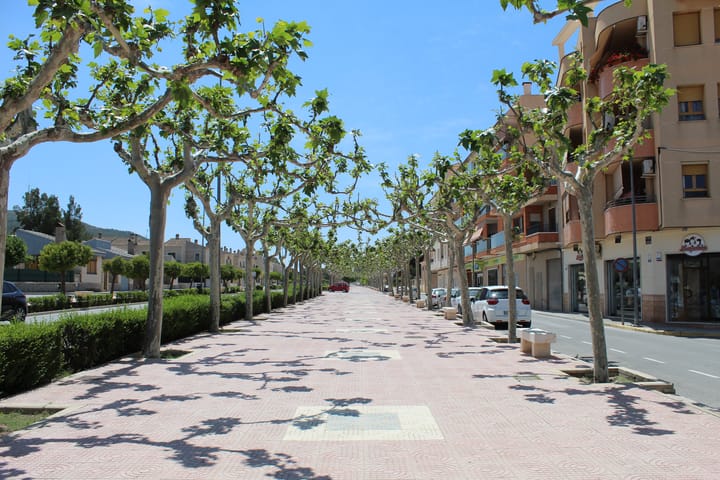 Foto 30 van Pinoso 702