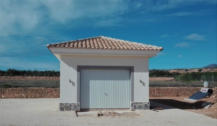 Foto 24 van Pinoso 702