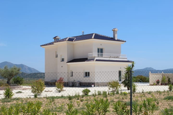 Foto 13 van Pinoso 702