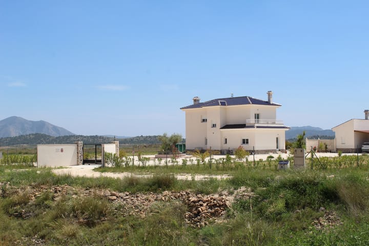 Foto 15 van Pinoso 702