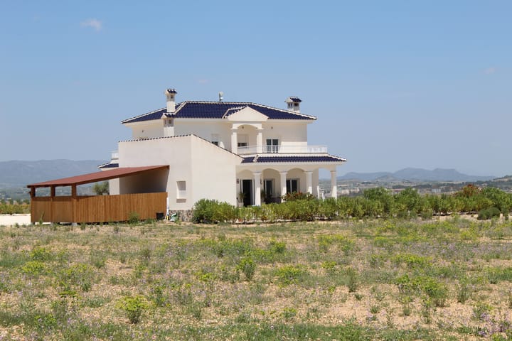 Foto 16 van Pinoso 702