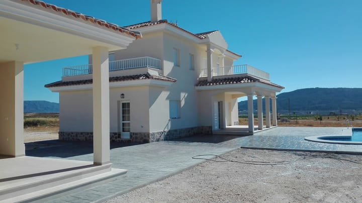 Foto 10 van Pinoso 702