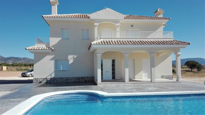 Foto 1 van Pinoso 702