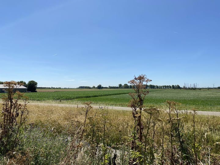 Photo 31 of Spieringplaatweg 20