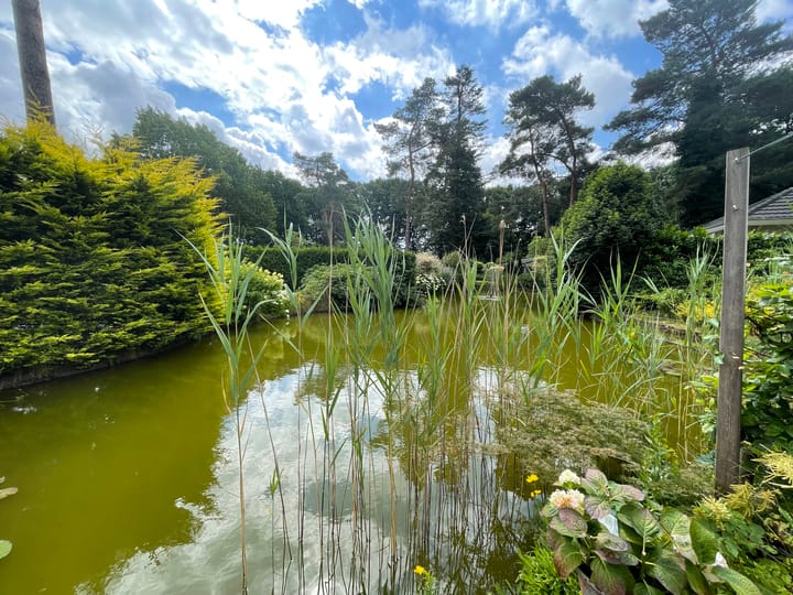 Foto 2 van Immenweg 15-360