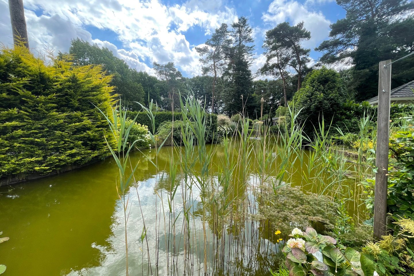 Bekijk foto 3 van Immenweg 15 - 360