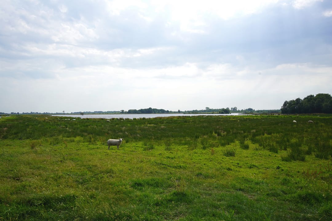 Foto 31 van Koaidyk 6-673