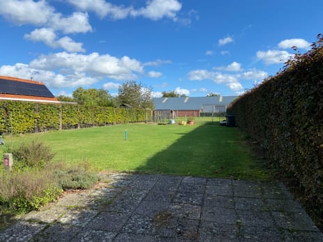 undefined main image