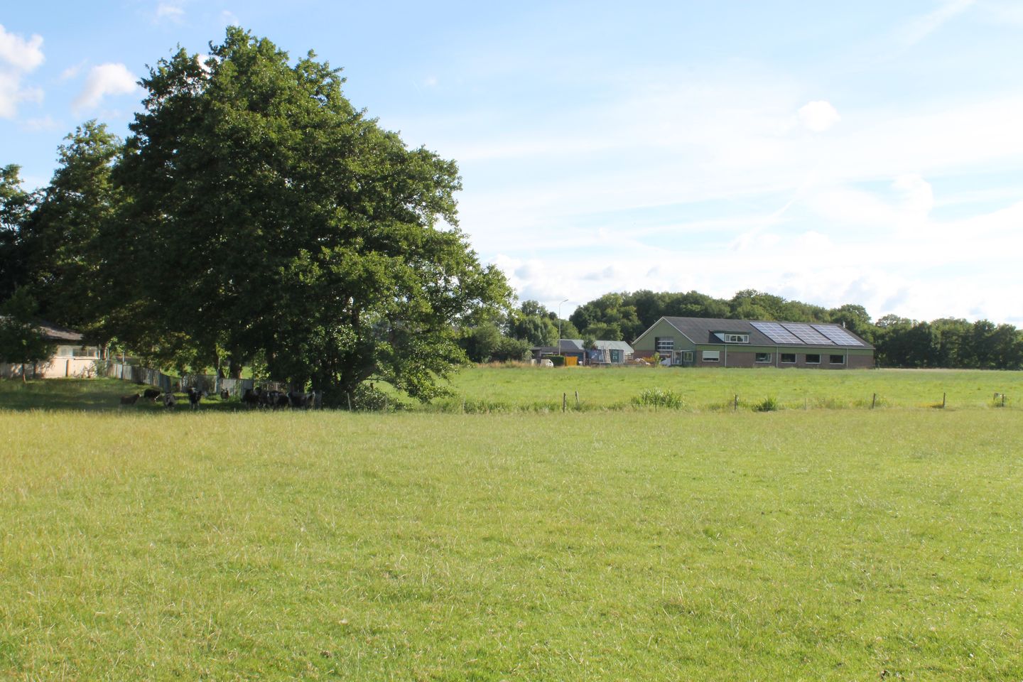 Foto 4 van Klettersteeg 2