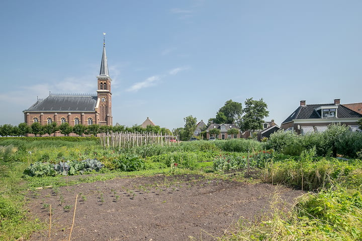 Bekijk foto 42 van Buorren 14