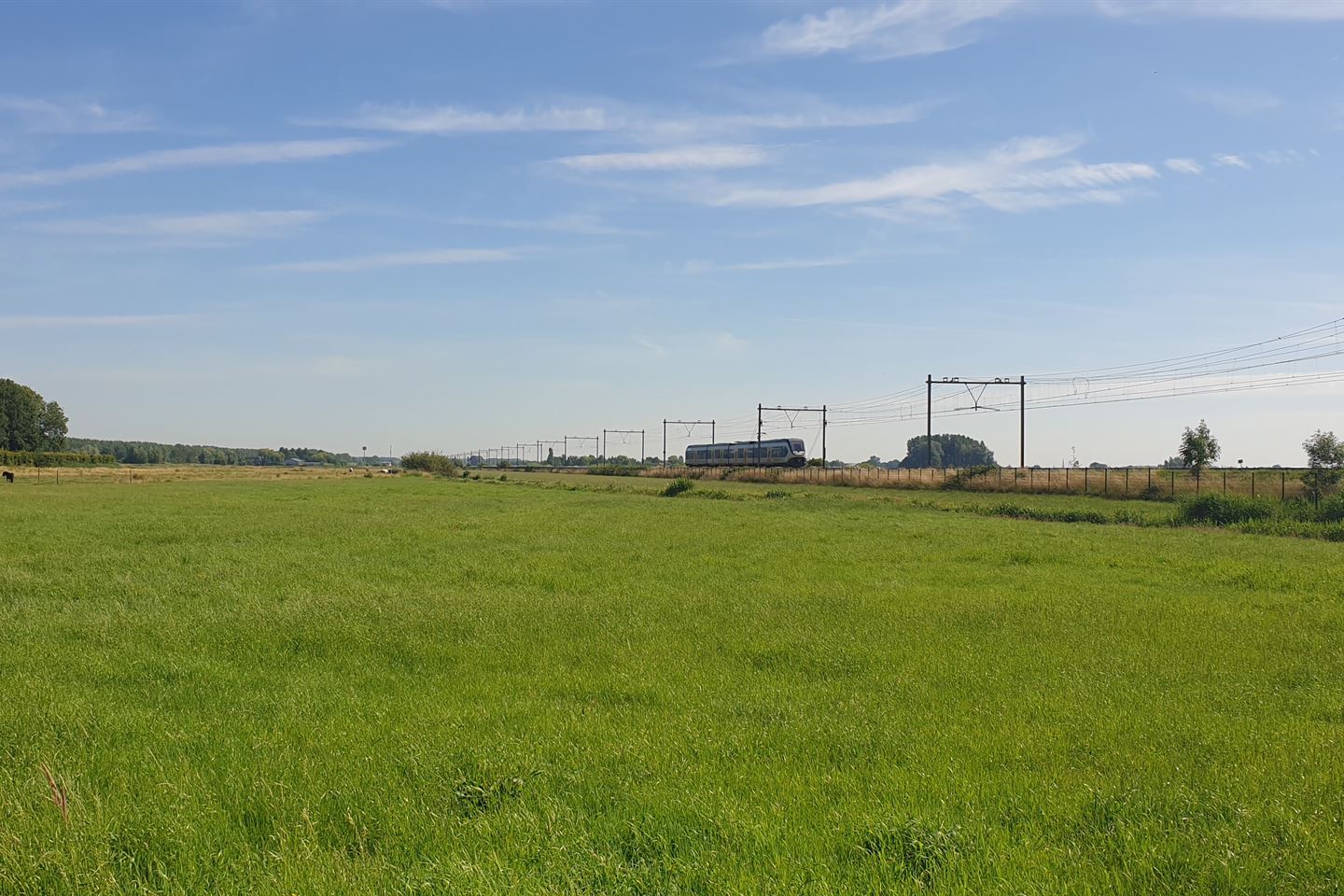 Bekijk foto 4 van Zuidplasweg