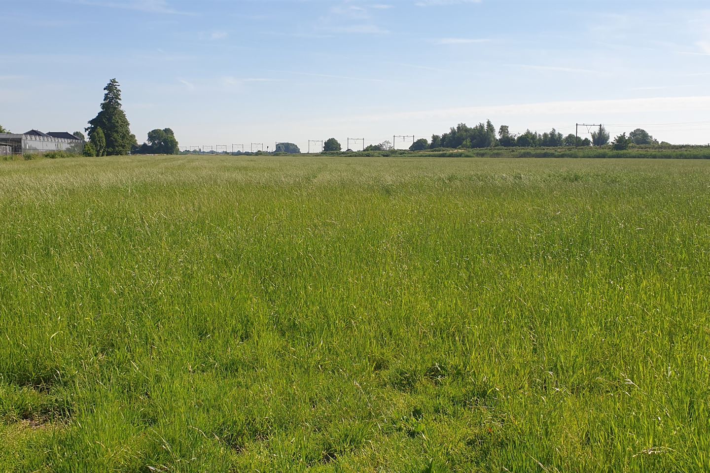 Bekijk foto 3 van Zuidplasweg