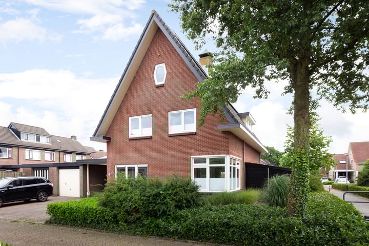 Albert van Meerveldstraat 44