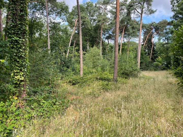 Foto 8 van Postels Huufke