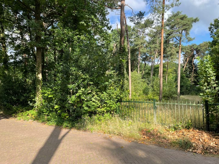 Foto 7 van Postels Huufke