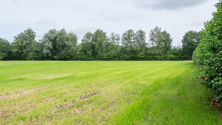 Foto 4 van Bijsterbosweg