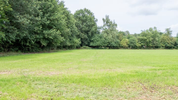 Foto 10 van Bijsterbosweg