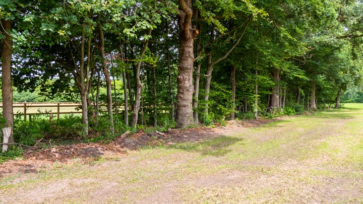 Foto 11 van Bijsterbosweg