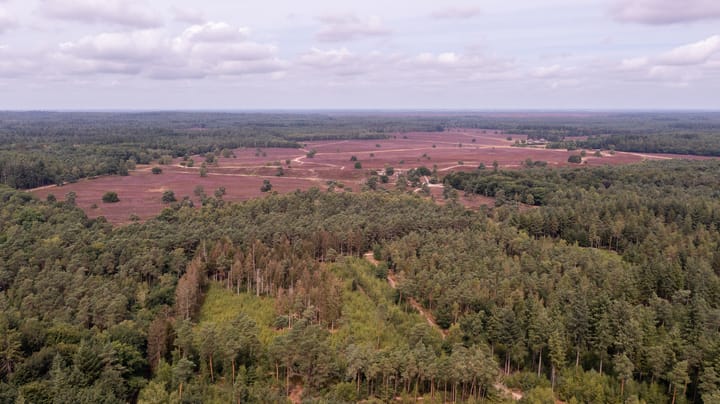 Foto 12 van Bijsterbosweg