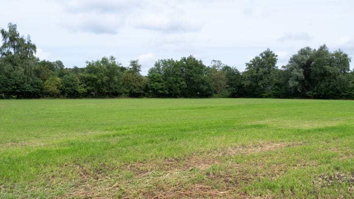 Foto 9 van Bijsterbosweg