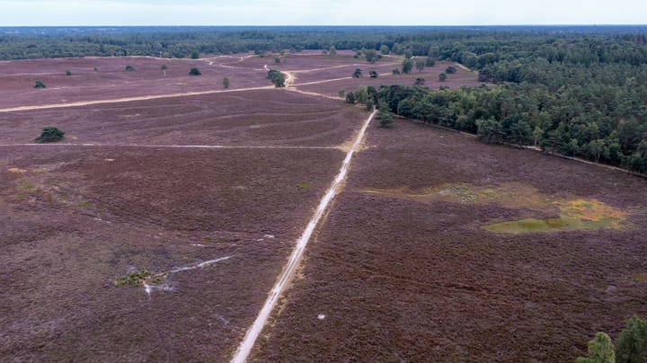 Foto 13 van Bijsterbosweg