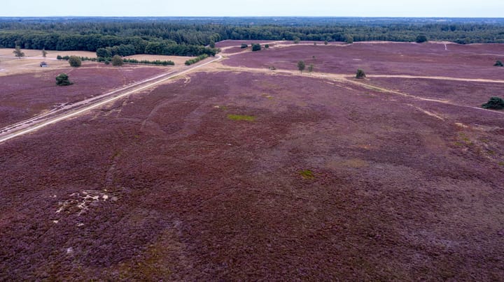 Foto 14 van Bijsterbosweg