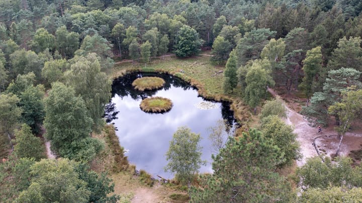 Foto 15 van Bijsterbosweg