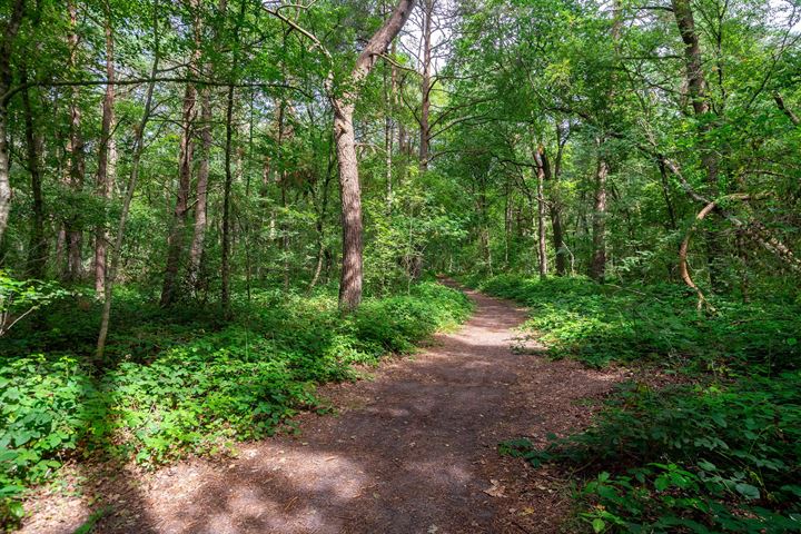 Bekijk foto 33 van Hof van Halenweg 2-159