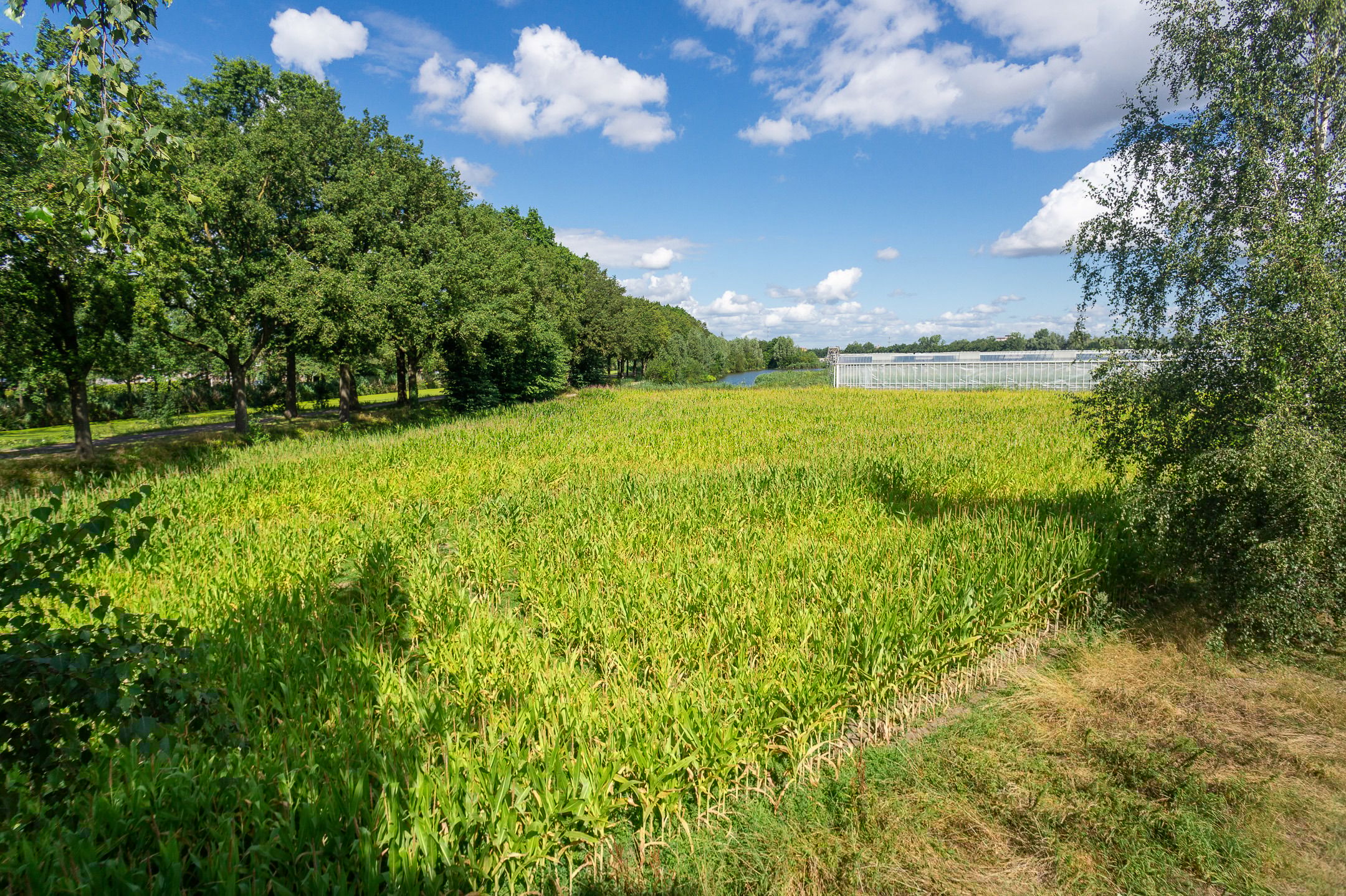 Foto 9 van Kanaaldijk Z.O. 20