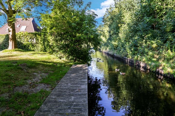 Bekijk foto 8 van Koaidyk 6-650