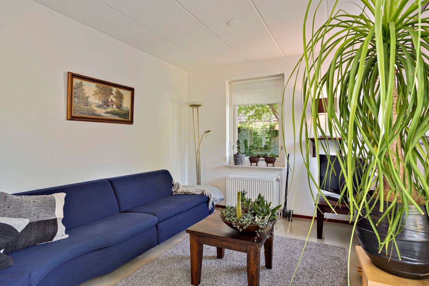 Foto 5 van Amerika 10-R55