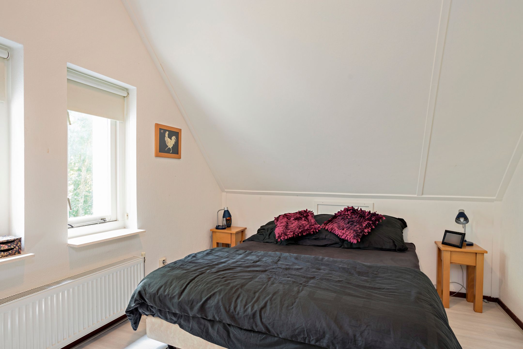 Foto 12 van Amerika 10-R55