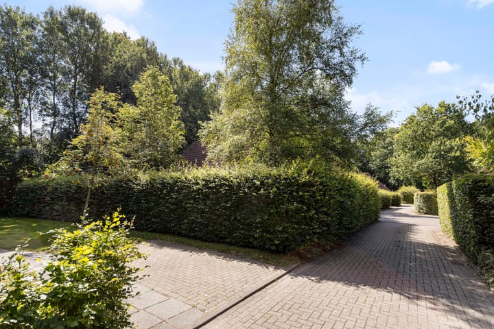 Photo 7 of Amerika 10-R56