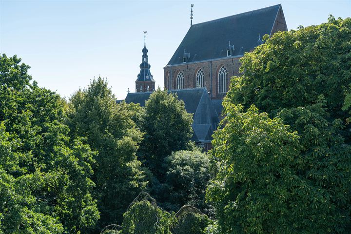 Bekijk foto 46 van Martinikerkhof 43