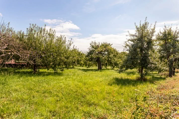 Foto 31 van Dorpsstraat 41