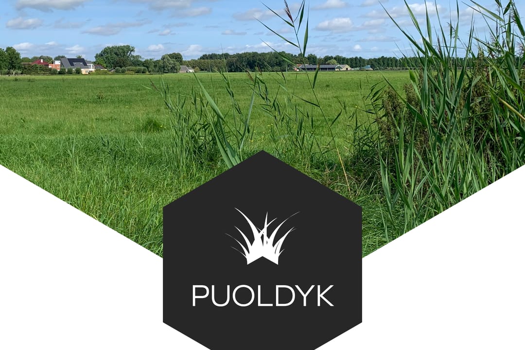 Photo 1 of Puoldyk fase 3 Dronrijp